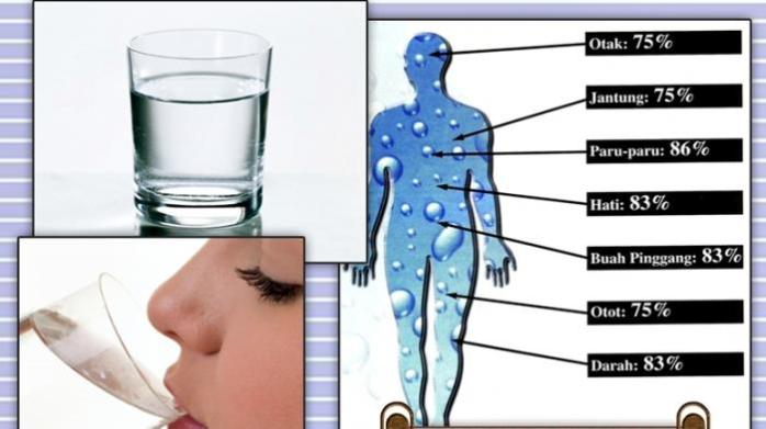 minum-air-putih-bermanfaat-untuk-kesehatan_20151015_135942